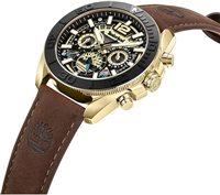 Orologio Timberland Uomo in Acciaio placcato oro giallo TDWGF0041702 - TDWGF0041702